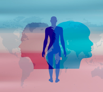 JPO Ath : Entre les mots et les couleurs : comprendre les transitions de genre