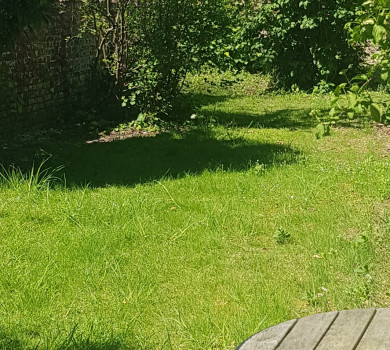Séance Sophrologie dans le jardin