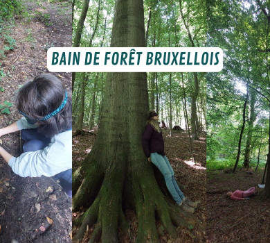 Bain de forêt bruxellois - à la rencontre de sa/la nature