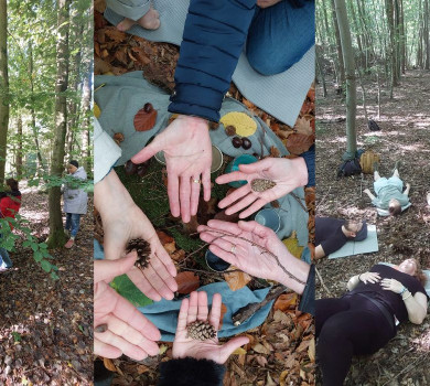 Bains de forêt en forêt de Soignes - se (re)connecter à soi, aux autres et au vivant le temps d'une matinée