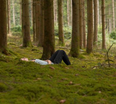 Bains de forêt en forêt de Soignes - se (re)connecter à soi, aux autres et à la nature