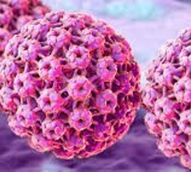 Le HPV, le papillomavirus