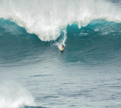 Transition professionnelle? De quoi transir?